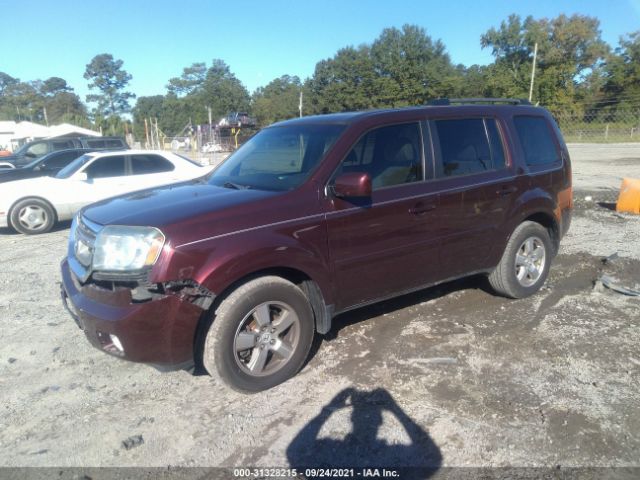 Photo 1 VIN: 5FNYF4H41BB039586 - HONDA PILOT 