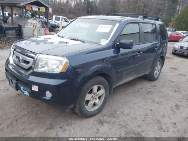 Photo 1 VIN: 5FNYF4H41BB098878 - HONDA PILOT 