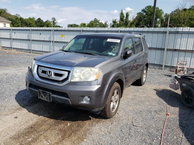 Photo 1 VIN: 5FNYF4H42AB018597 - HONDA PILOT EX 