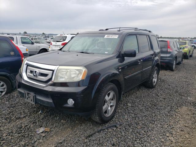 Photo 1 VIN: 5FNYF4H42AB023105 - HONDA PILOT EX 