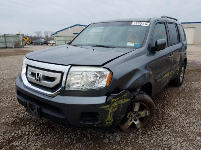 Photo 1 VIN: 5FNYF4H42AB031527 - HONDA PILOT EX 