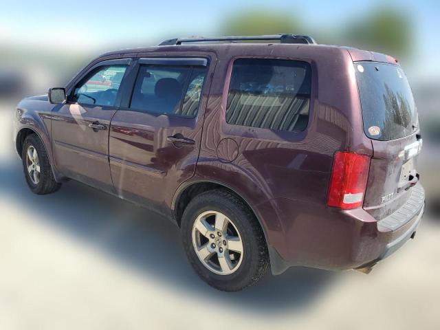 Photo 1 VIN: 5FNYF4H42BB081765 - HONDA PILOT 