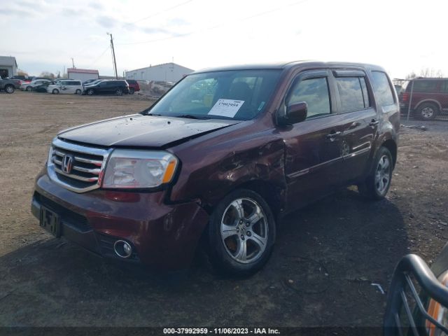 Photo 1 VIN: 5FNYF4H42DB054374 - HONDA PILOT 