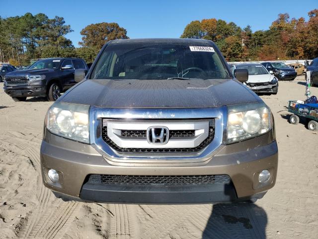 Photo 4 VIN: 5FNYF4H43AB012923 - HONDA PILOT EX 