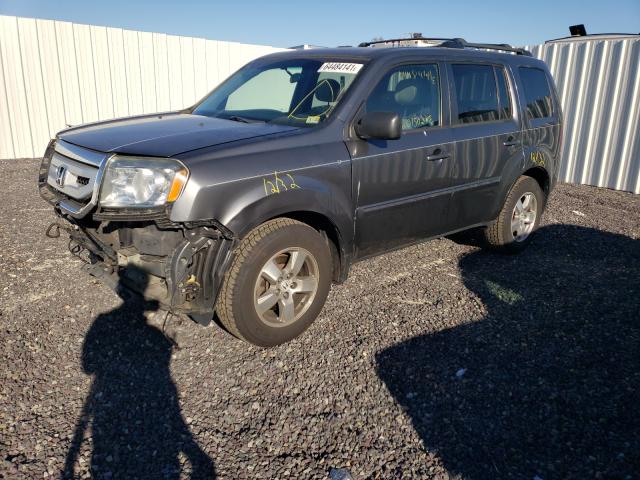 Photo 1 VIN: 5FNYF4H44AB032288 - HONDA PILOT EX 