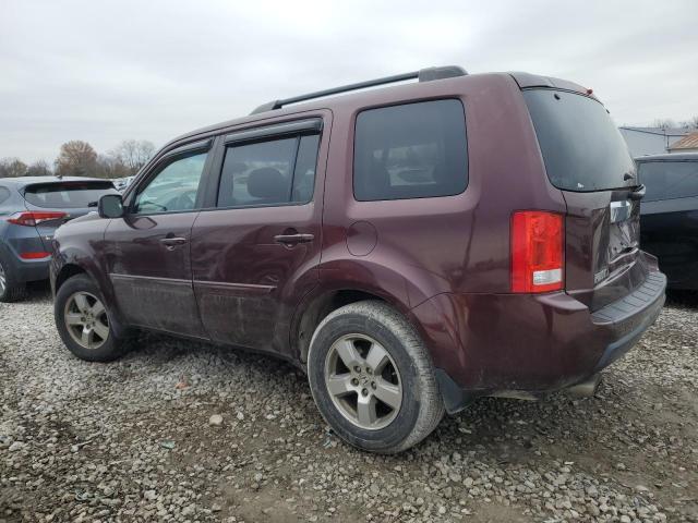 Photo 1 VIN: 5FNYF4H44BB005528 - HONDA PILOT EX 