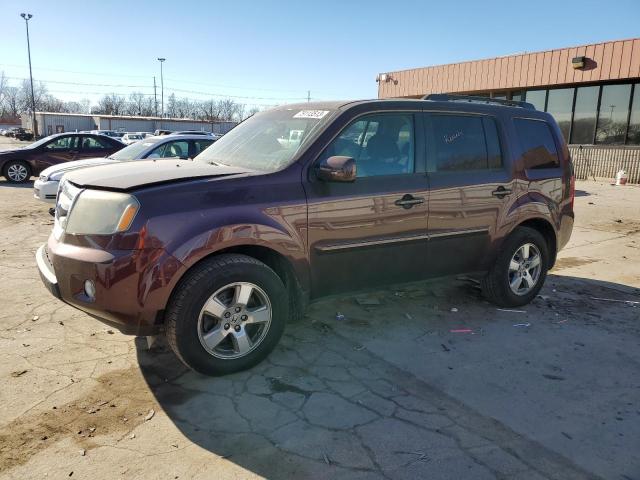 Photo 0 VIN: 5FNYF4H46BB059090 - HONDA PILOT 