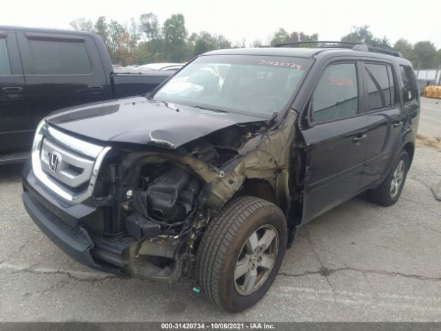 Photo 1 VIN: 5FNYF4H49AB031959 - HONDA PILOT 