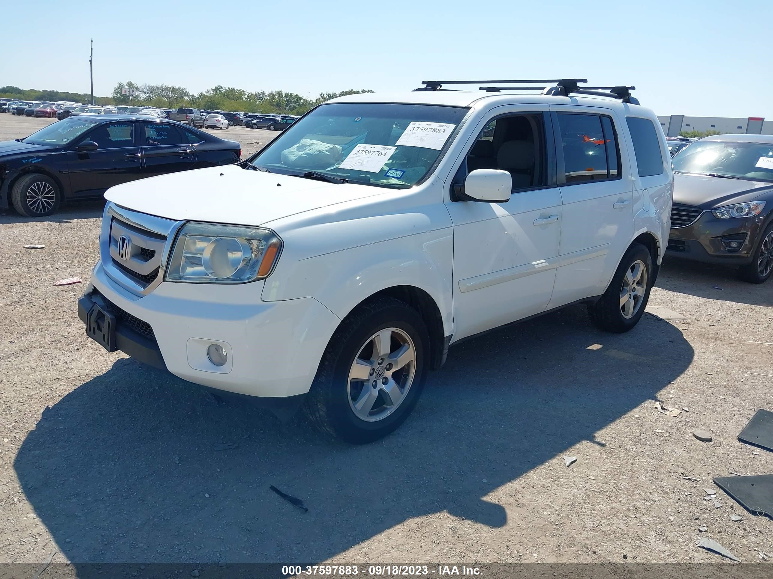 Photo 1 VIN: 5FNYF4H49BB064932 - HONDA PILOT 