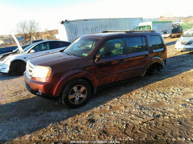 Photo 1 VIN: 5FNYF4H50AB034645 - HONDA PILOT 