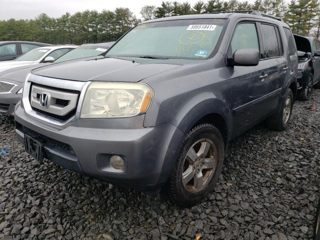 Photo 1 VIN: 5FNYF4H50AB035469 - HONDA PILOT EXL 