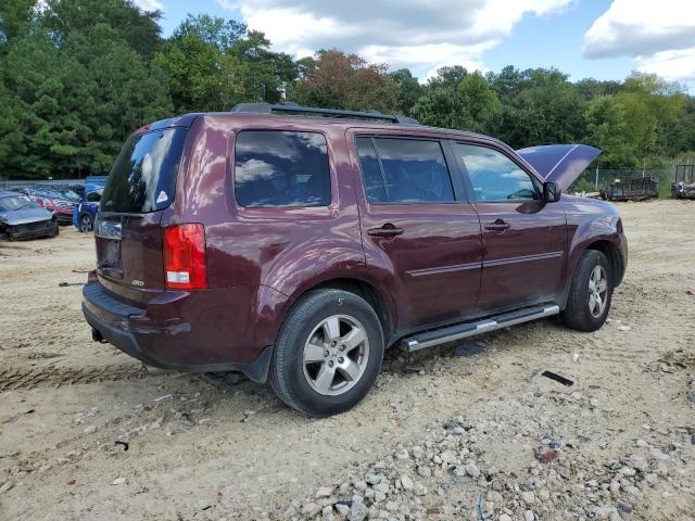 Photo 2 VIN: 5FNYF4H50BB051463 - HONDA PILOT EXL 