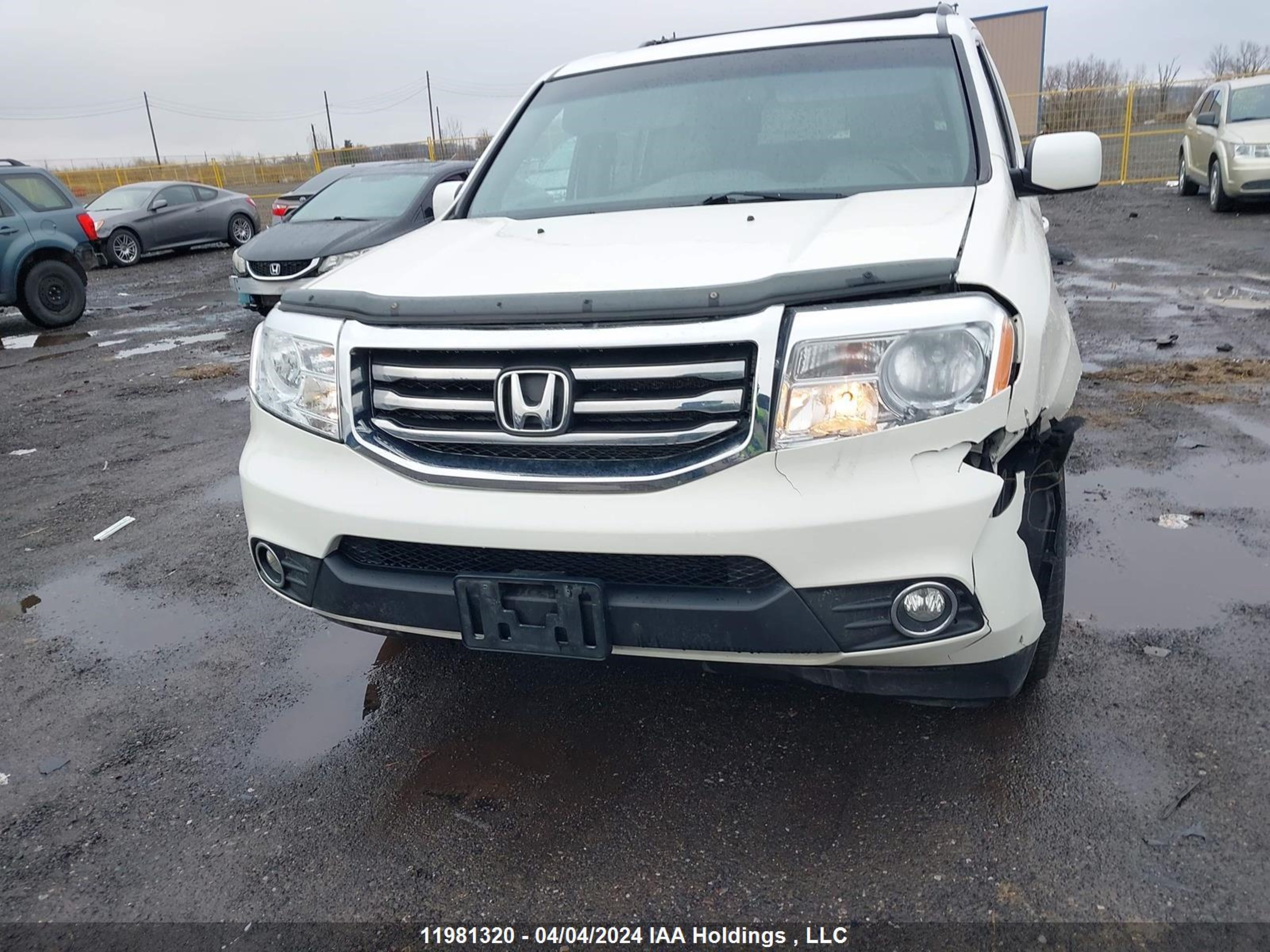 Photo 11 VIN: 5FNYF4H50EB505196 - HONDA PILOT 