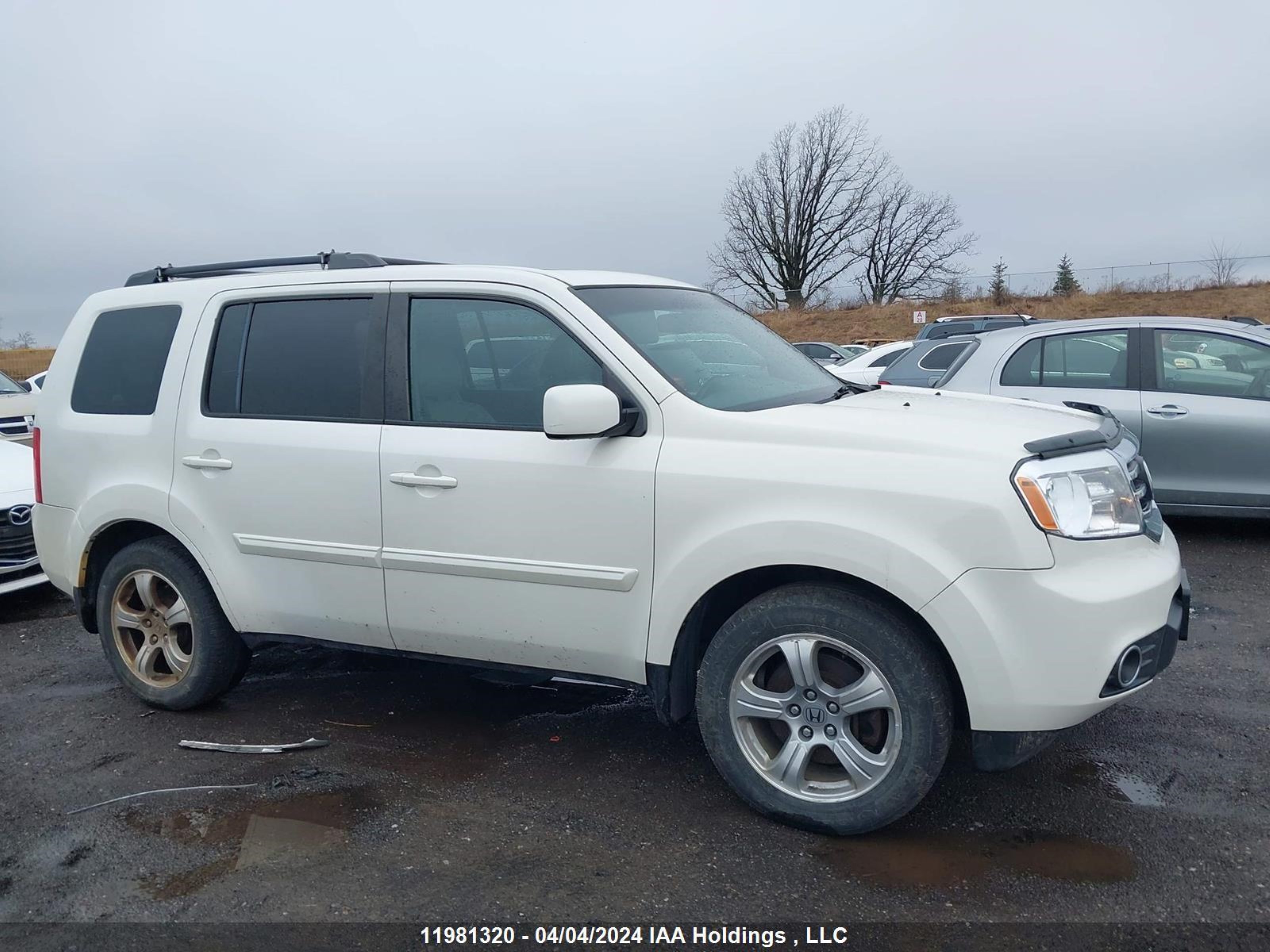 Photo 12 VIN: 5FNYF4H50EB505196 - HONDA PILOT 