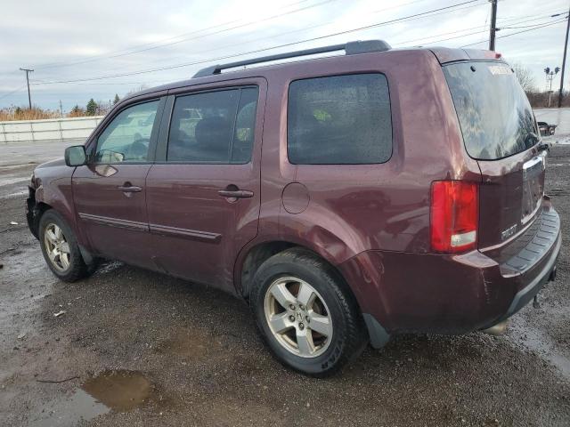 Photo 1 VIN: 5FNYF4H51BB037202 - HONDA PILOT EXL 