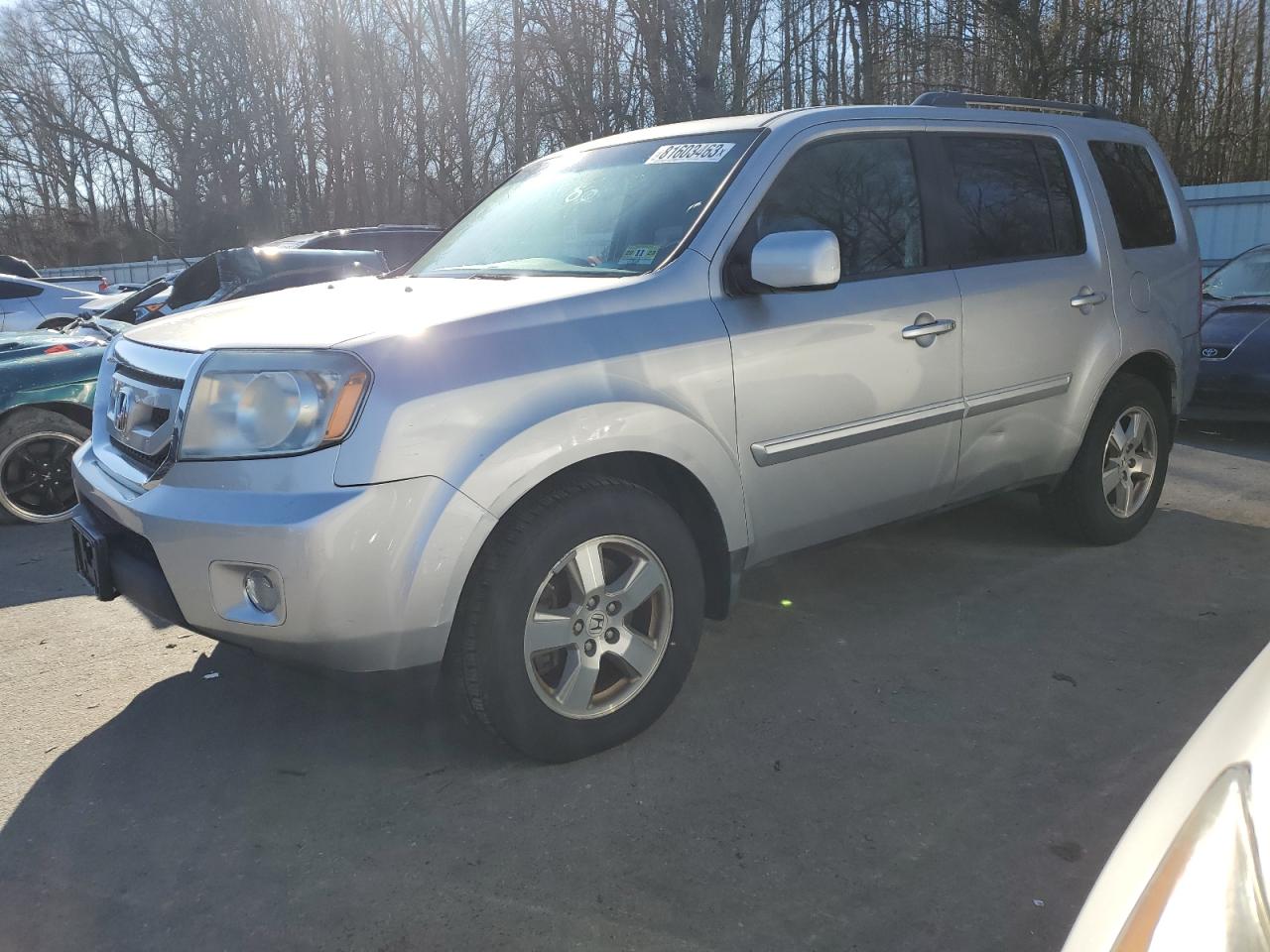 Photo 0 VIN: 5FNYF4H51BB041508 - HONDA PILOT 