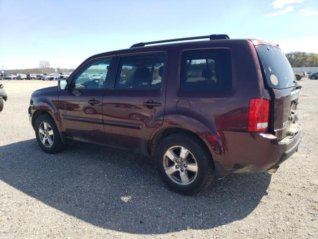 Photo 1 VIN: 5FNYF4H51BB065923 - HONDA PILOT EXL 