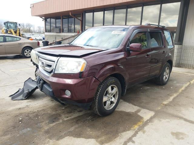 Photo 1 VIN: 5FNYF4H52AB014882 - HONDA PILOT EXL 