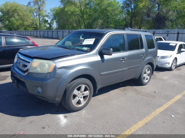 Photo 1 VIN: 5FNYF4H52AB034811 - HONDA PILOT 