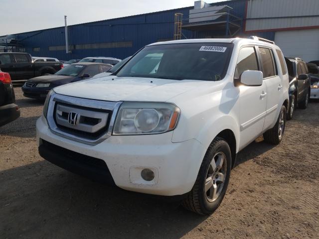 Photo 1 VIN: 5FNYF4H52AB502875 - HONDA PILOT EXL 