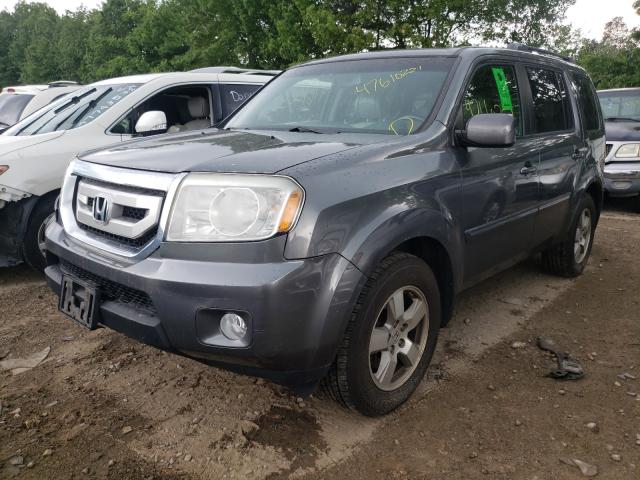 Photo 1 VIN: 5FNYF4H52BB016598 - HONDA PILOT EXL 