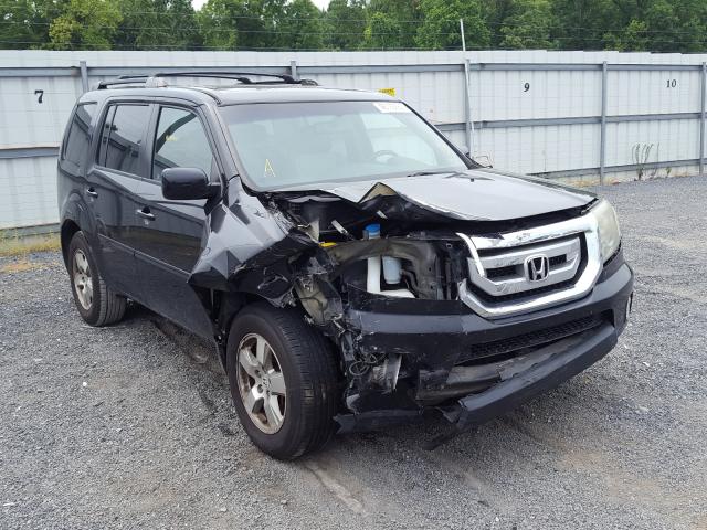 Photo 0 VIN: 5FNYF4H52BB063551 - HONDA PILOT EXL 