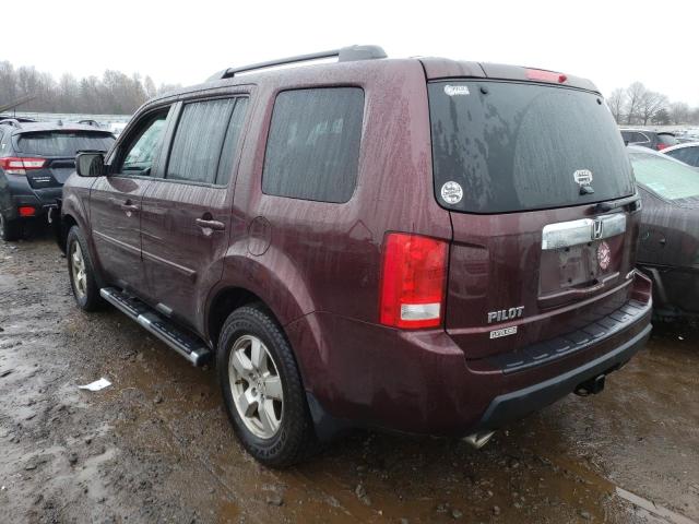 Photo 1 VIN: 5FNYF4H52BB091673 - HONDA PILOT EXL 