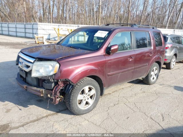 Photo 1 VIN: 5FNYF4H53AB008489 - HONDA PILOT 