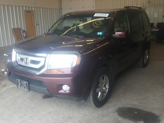 Photo 1 VIN: 5FNYF4H53AB012848 - HONDA PILOT EXL 