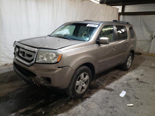 Photo 1 VIN: 5FNYF4H53AB023672 - HONDA PILOT EXL 