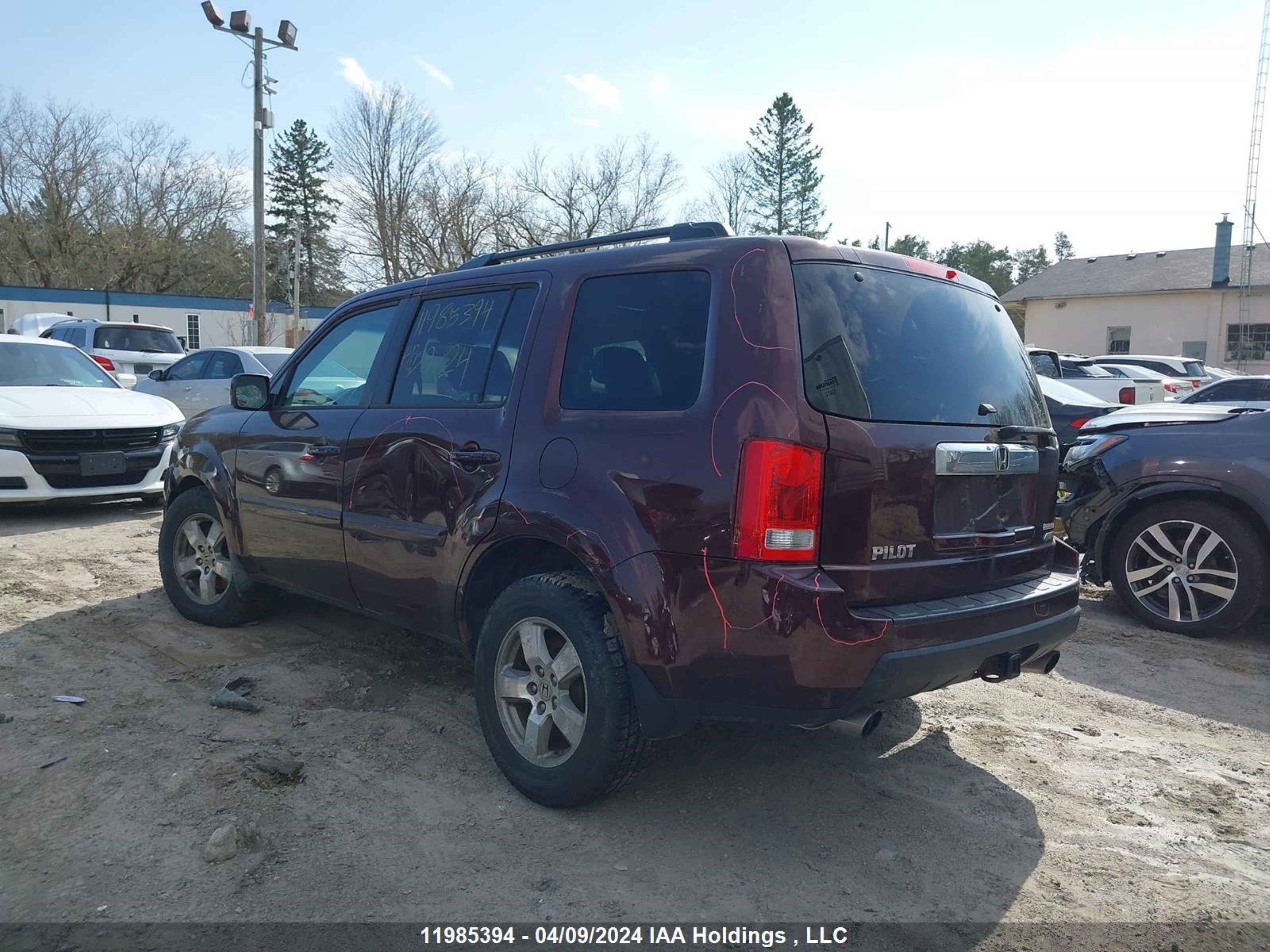 Photo 2 VIN: 5FNYF4H53AB503369 - HONDA PILOT 