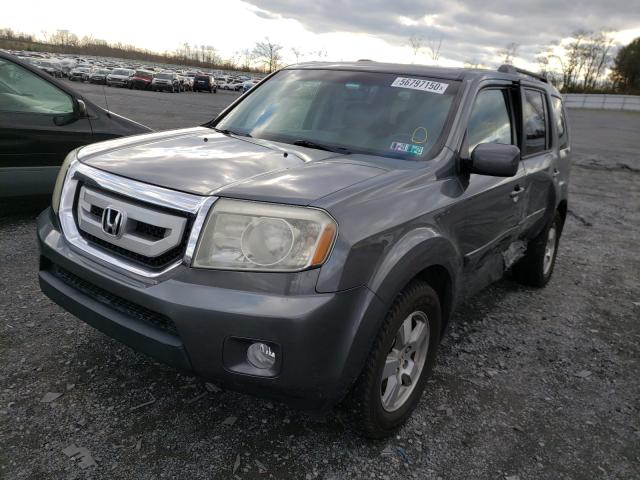 Photo 1 VIN: 5FNYF4H53BB062716 - HONDA PILOT EXL 