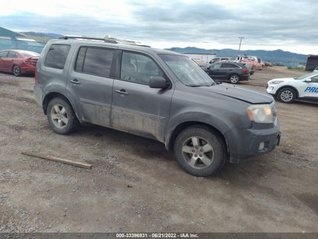 Photo 0 VIN: 5FNYF4H53BB080214 - HONDA PILOT 