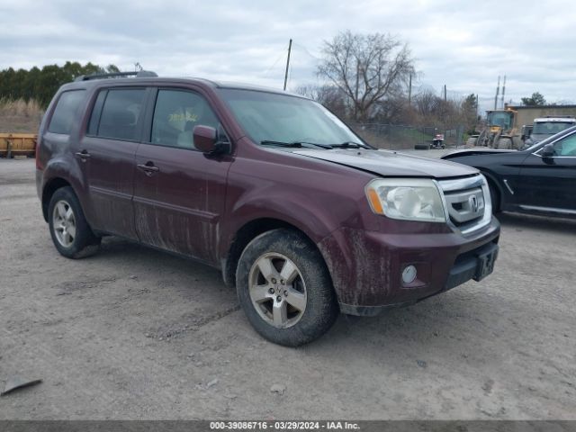 Photo 0 VIN: 5FNYF4H54BB007241 - HONDA PILOT 