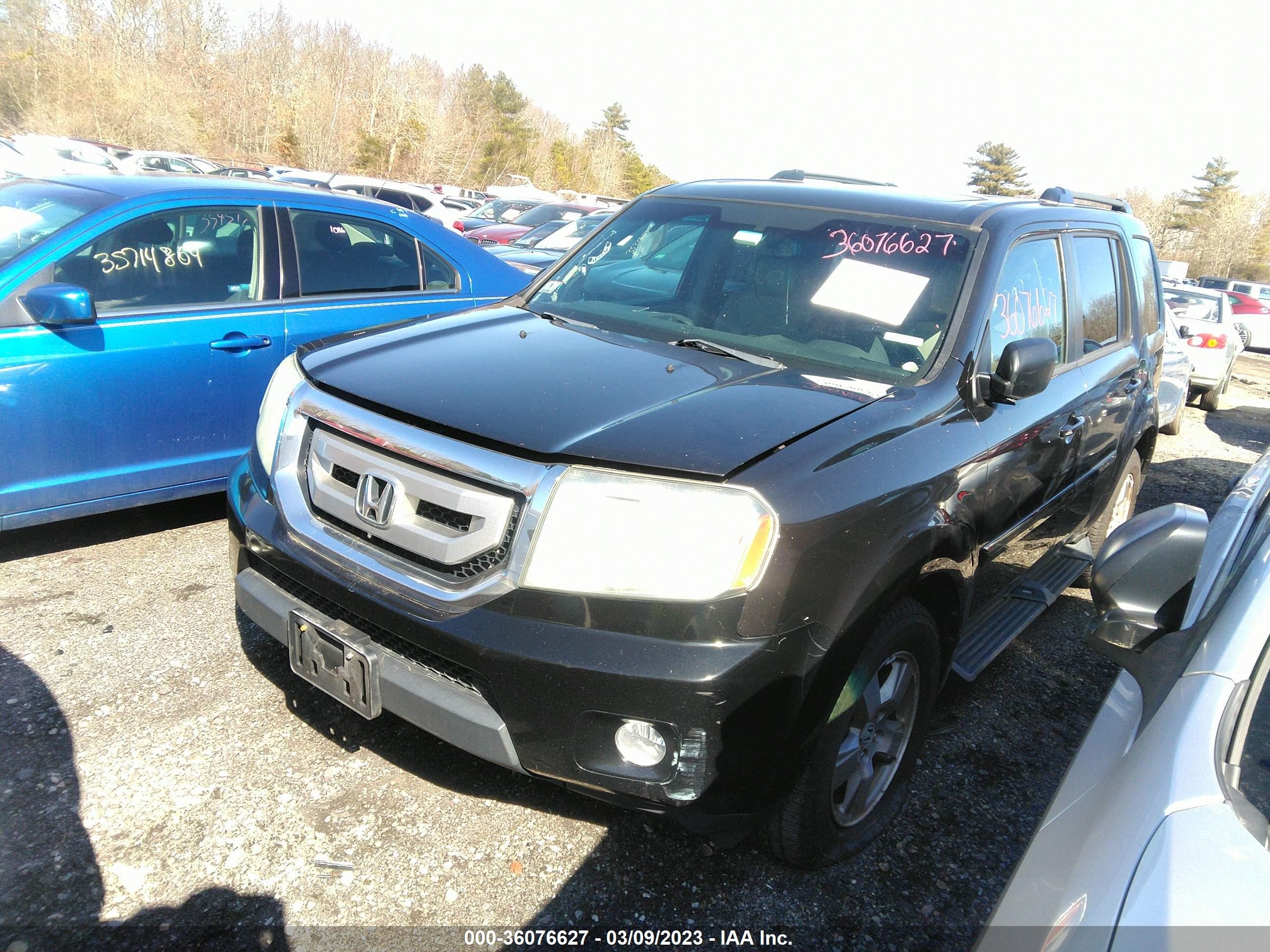 Photo 1 VIN: 5FNYF4H55AB017775 - HONDA PILOT 