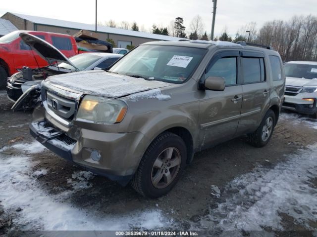 Photo 1 VIN: 5FNYF4H55BB019527 - HONDA PILOT 