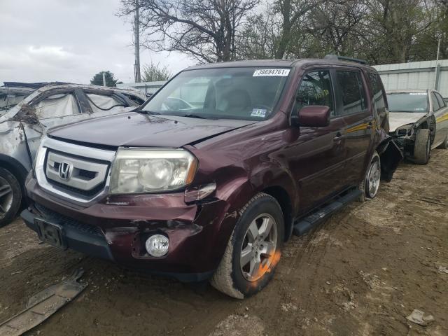 Photo 1 VIN: 5FNYF4H55BB033492 - HONDA PILOT EXL 