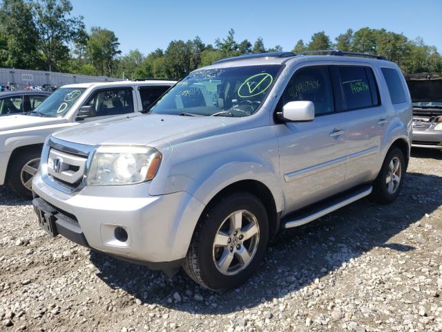 Photo 1 VIN: 5FNYF4H55BB070428 - HONDA PILOT EXL 