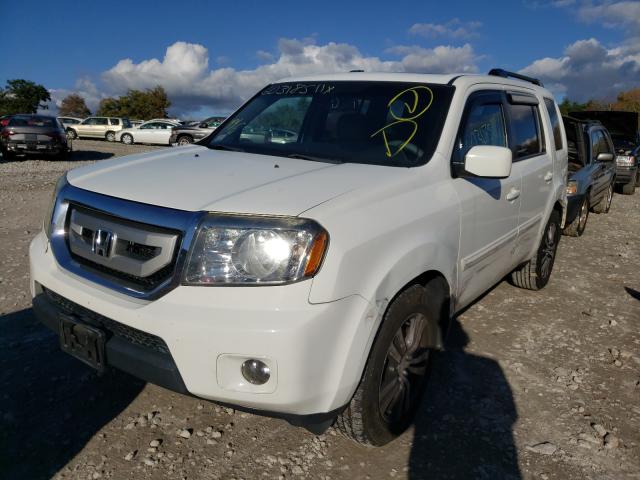 Photo 1 VIN: 5FNYF4H55BB075709 - HONDA PILOT EXL 