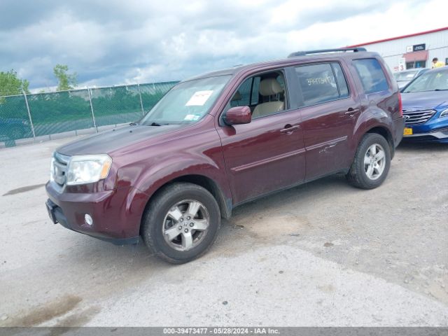 Photo 1 VIN: 5FNYF4H55BB084233 - HONDA PILOT 