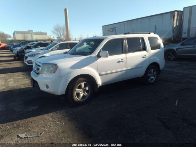 Photo 1 VIN: 5FNYF4H56BB024476 - HONDA PILOT 