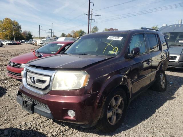 Photo 1 VIN: 5FNYF4H56BB076206 - HONDA PILOT EXL 