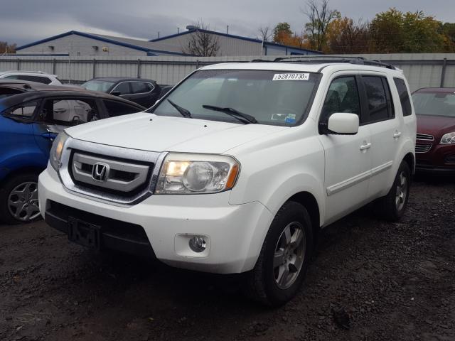 Photo 1 VIN: 5FNYF4H58AB026597 - HONDA PILOT EXL 