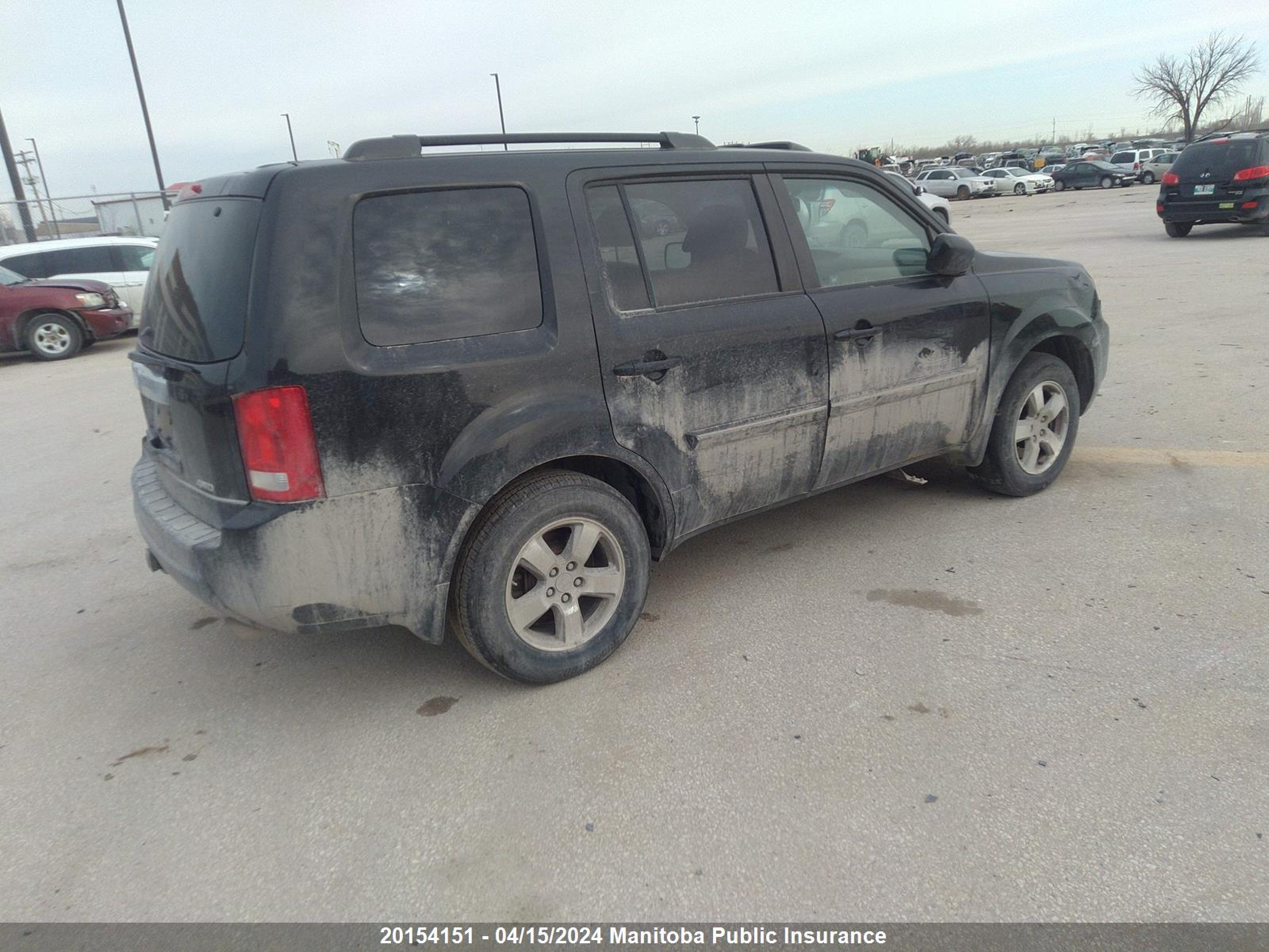 Photo 3 VIN: 5FNYF4H58AB502816 - HONDA PILOT 