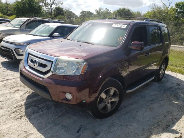 Photo 1 VIN: 5FNYF4H59BB050361 - HONDA PILOT EXL 