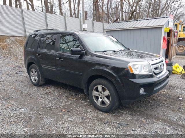 Photo 0 VIN: 5FNYF4H59BB055544 - HONDA PILOT 