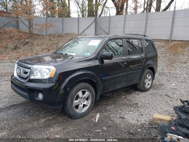 Photo 1 VIN: 5FNYF4H59BB055544 - HONDA PILOT 