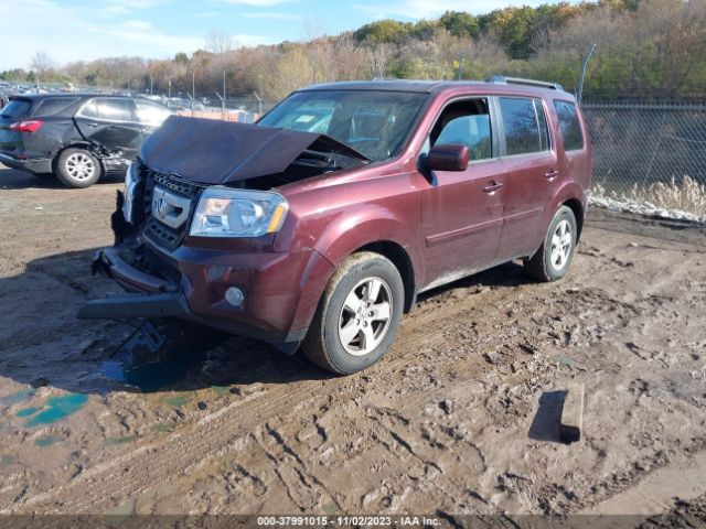 Photo 1 VIN: 5FNYF4H59BB063255 - HONDA PILOT 