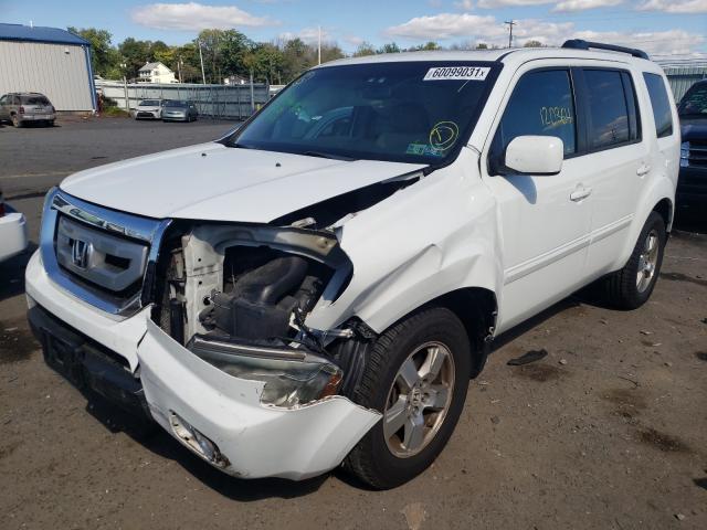 Photo 1 VIN: 5FNYF4H59BB096207 - HONDA PILOT EXL 