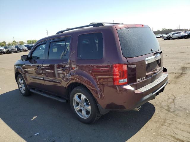 Photo 1 VIN: 5FNYF4H59DB024474 - HONDA PILOT 